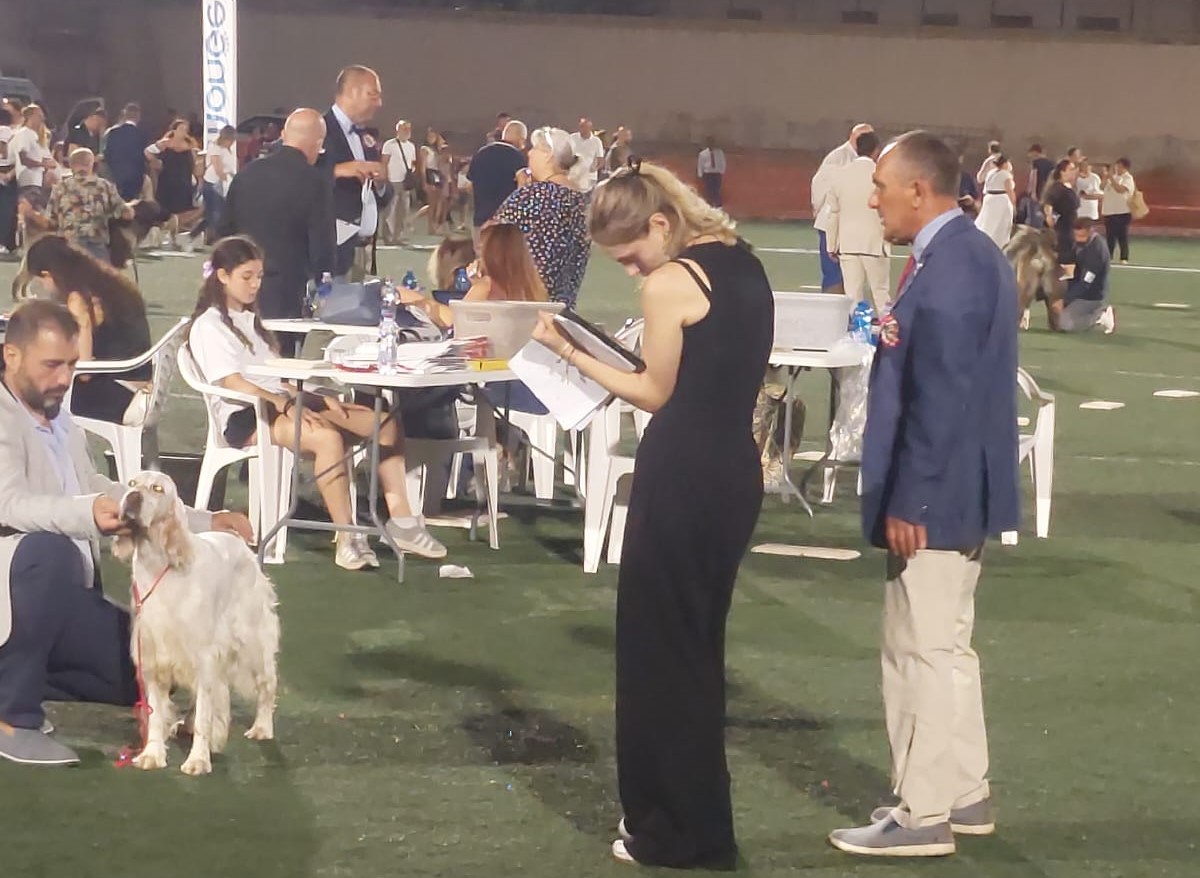 Foto mostra canina